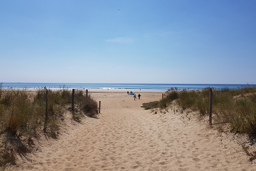 Comment dessiner une plage de sable 